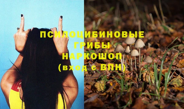 мет Арсеньев