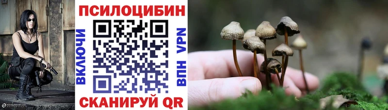 продажа наркотиков  маркетплейс клад  Галлюциногенные грибы Cubensis  Холмск 