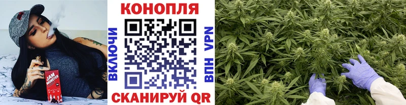купить   Холмск  Бошки Шишки сатива 